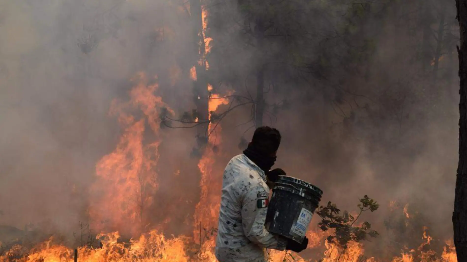 Incendios forestales